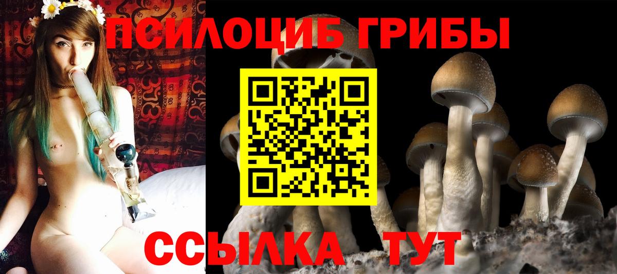 Гагарин  Псилоцибиновые грибы Cubensis  Псилоцибиновые грибы мухоморы  где купить   Вход с VPN 